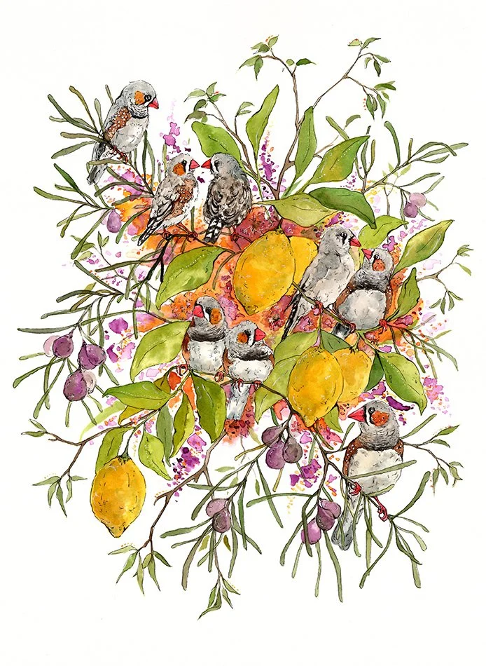 Zebra Finches and Lemons — Rhian Elycia Mcleod